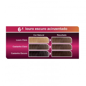 BELA&COR 6.1 LOURO ESCURO ACINZENTADO